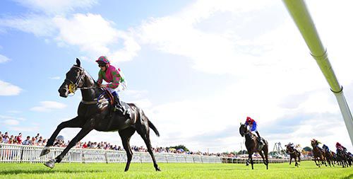 Granny On Fire and Shane 'Fifi' Gray are clear at Bellewstown