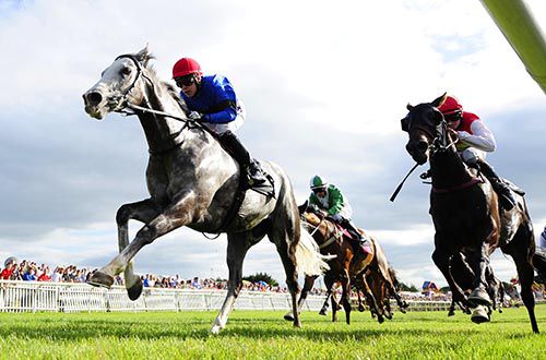 Patrickswell wins again under Leigh Roche - at Bellewstown