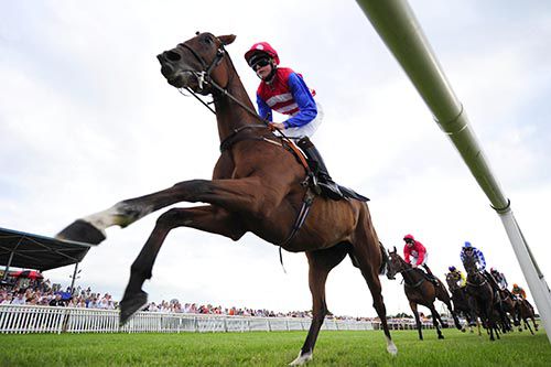 It was easy for Cardinal Palace and Connor King at Bellewstown