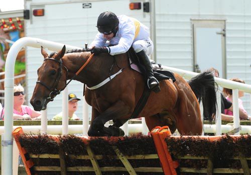 Golden Wonder jumps the last under Roger Loughran