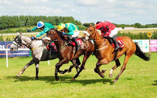 Another Palm (inside) gets the better of Supreme Doc (middle) and Our Girl Lucy