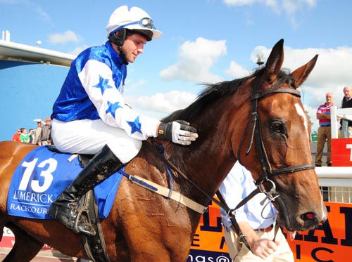 David Thomas & Supreme Bailerina return to the parade ring after their success