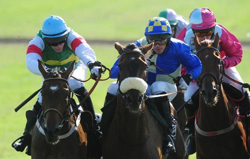 Simon Craig does great work in the saddle to get Lagan Canal (noseband) through a tight gap