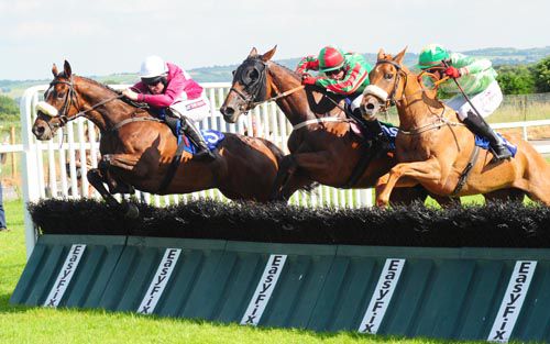 Dawerann, left, comes to win the maiden hurdle at Roscommon