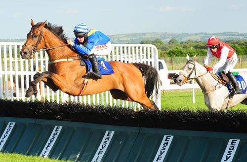 Raydari soars over the last at Roscommon