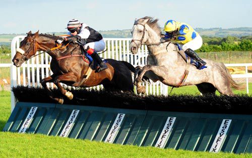 Sweetheart Susan, right, beats Andalucía Lady at Roscommon