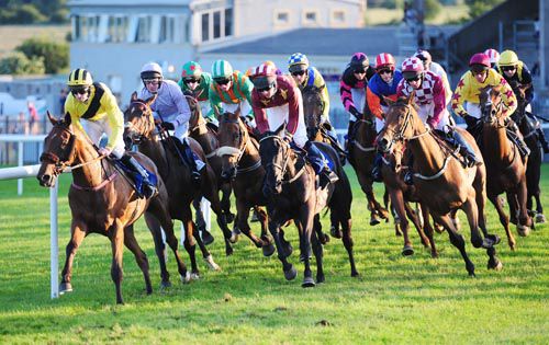 Rally, yellow, in action at Roscommon