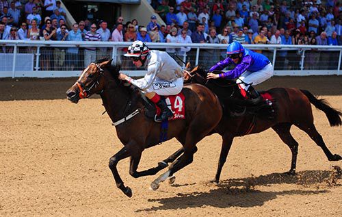 Veronica Falls keeps on best to beat Shes No Joke