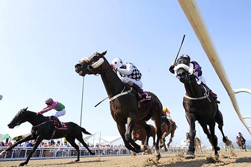 Liberty To Rock (centre) and Kevin Manning winning for Jim at Dundalk in 2013