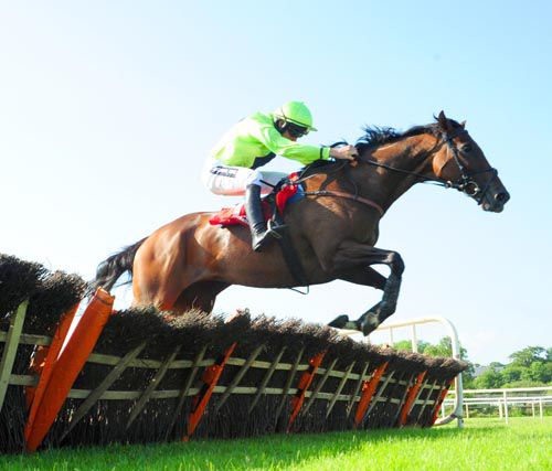 Oilily jumps the last under Ruby Walsh