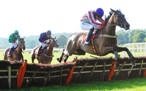 C'est La Mode clears the last under Davy Condon