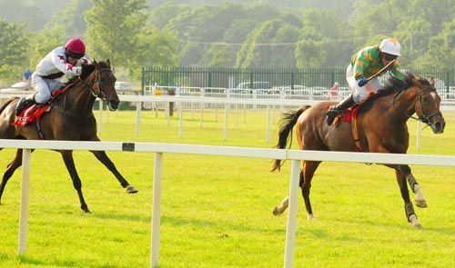 Invincible Don sprints away from Hurricane Jojo in the closing stages