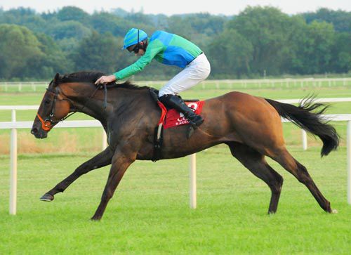 Scienter & Kevin Power in full flow