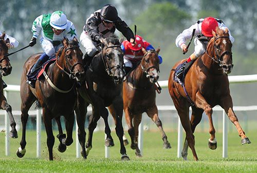 Sacred Aspect (second from the left) comes with her winning run under Shane Foley