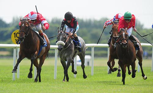 Boom The Groom (left) is driven out by Pat Smullen to beat Colour Blue (red) on the outside