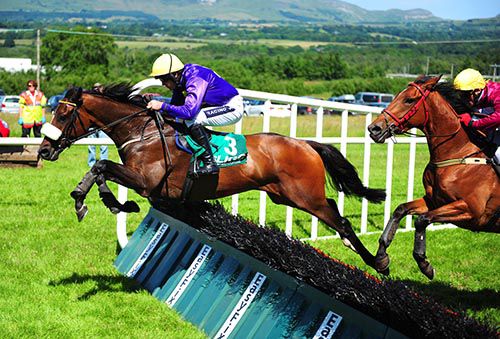 Diplomat clears the last from King William in second