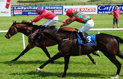 Heuston & Ronan Whelan get the better of Live Dangerously 