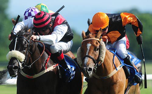 Tohugo, orange cap, swoops to nail King Of Oriel