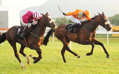 Sunday Serenade (orange) is driven out by Jane Mangan to beat Alton Bay