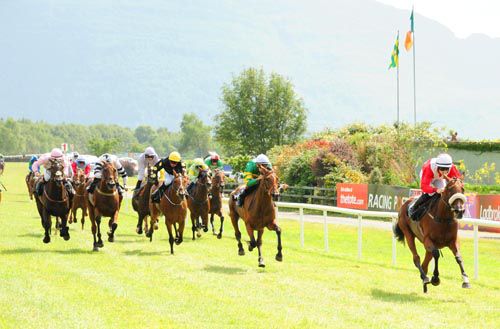 Sabaidee cruises home at Killarney