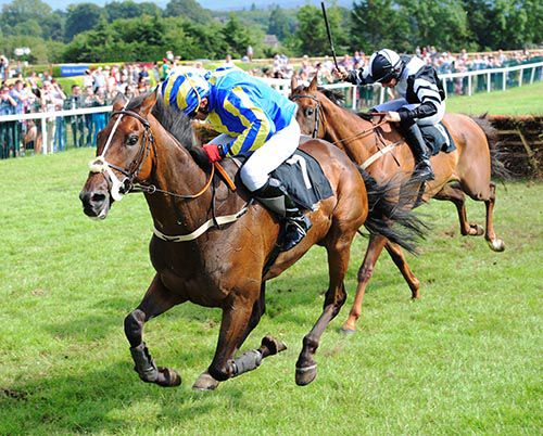 Tribes And Banner and John Cullen team up well at Killarney