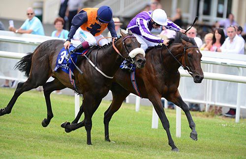 Fly To The Moon, right, beats The Organ Grinder