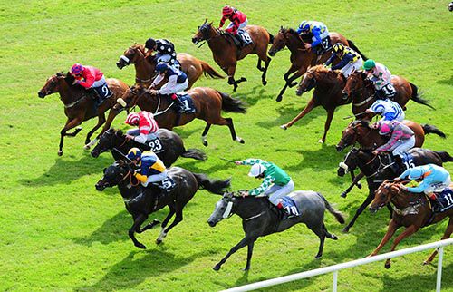 Whozthecat, blue and yellow, wins the big sprint at the Curragh