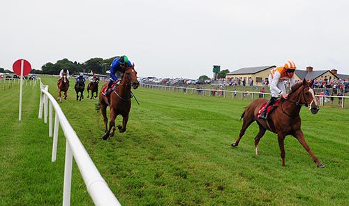 Strandfield Lady beats Hes Our Music at Ballinrobe