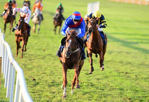 Mikey Fogarty looks happy and why wouldn't he be as Broadway Symphony bolts up in the last at Ballinrobe