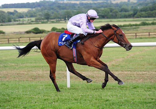 Sign From Heaven scores in style