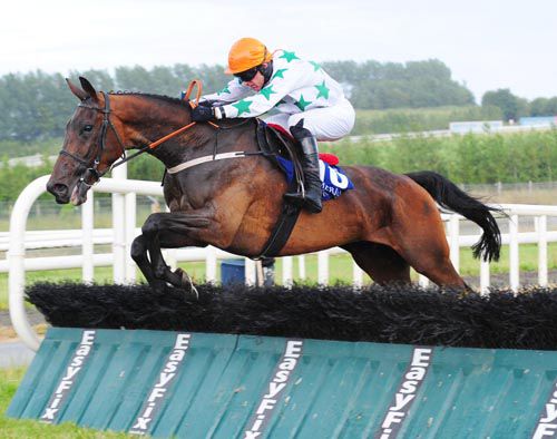 Dale Street clears the last under Mick Darcy