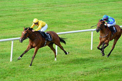 Harpist in control under Wayne Lordan 