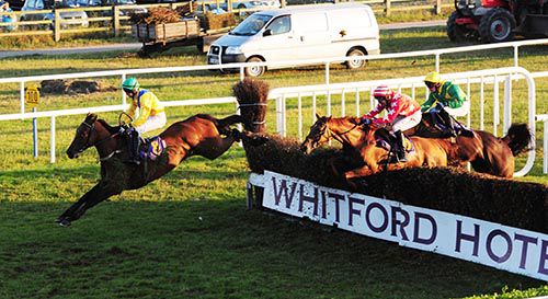 Old Supporter leaps the last to score