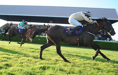 Pestal And Mortar holds Leblon