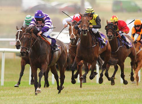 Kims Dream stretches clear under Shane Gray