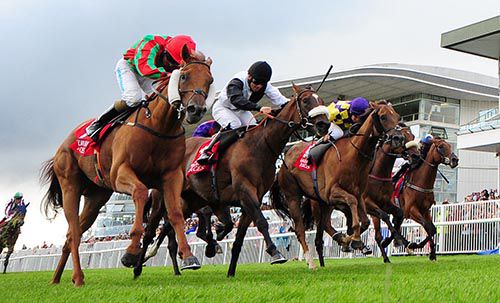 Target Acquired (nearest) holds on in a bunch finish