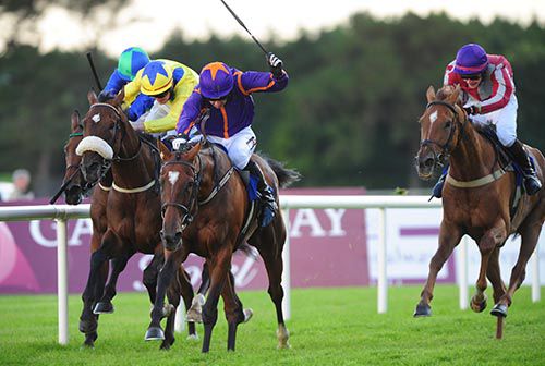 Wicklow Brave just ahead of Marty's Magic with Sukiyaki on the rail and eventual third Top Othe Ra (right)