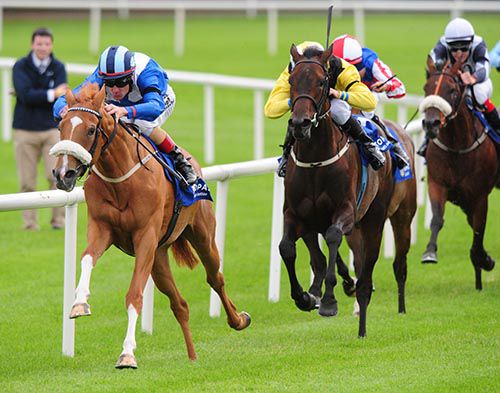 Tarfasha stretches on to beat Ballybacka Queen and company at Galway