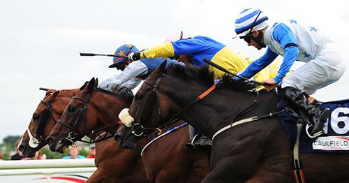 Footprint beats Knights Templar and Sophies Echo at Galway