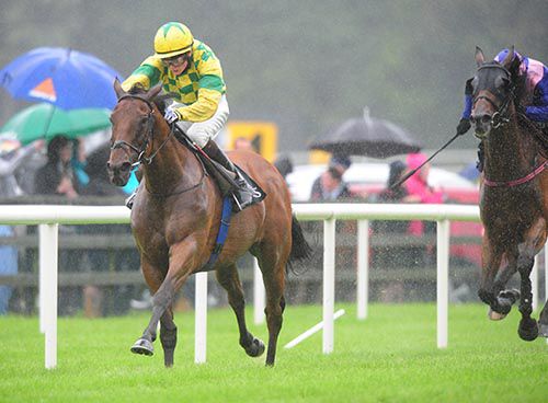 Maundy Money and Connor King shrug aside conditions to win well at Ballybrit from Parkers Mill