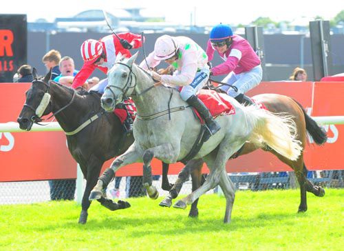 Grey horse Call Me Bubbles swoops to conquer at Galway