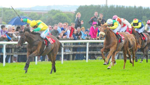 Tin Town Boy and Chris Hayes devour the hill at Galway