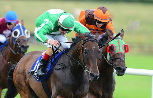 Doonard Prince (green) is driven out by Pat Smullen to beat Bangalore Diamond