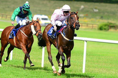 Rockview Emperor & Gary Carroll see off the challenge of Have A Nice Day