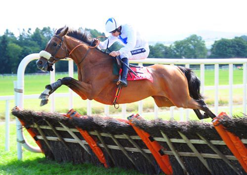 Another Ambition clears the last under Ruby Walsh