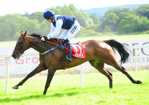 Mumbo Bay comes home a comfortable winner under Patrick Mullins