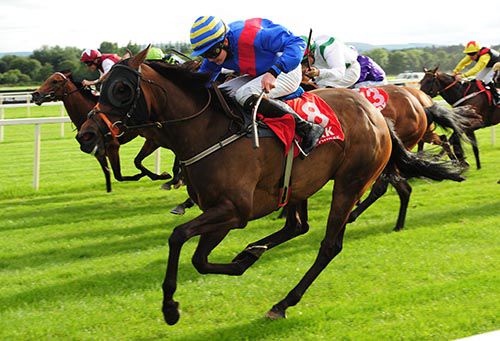Royal Blue Star and Connor King fly down the outside at Cork