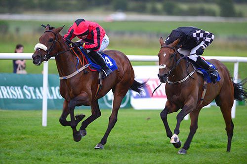 Queen Alphabet, left, beats No Cash Flow at Roscommon