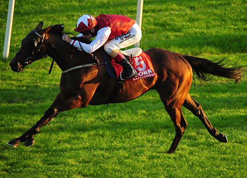 Lake District and Pat Smullen well clear at Cork