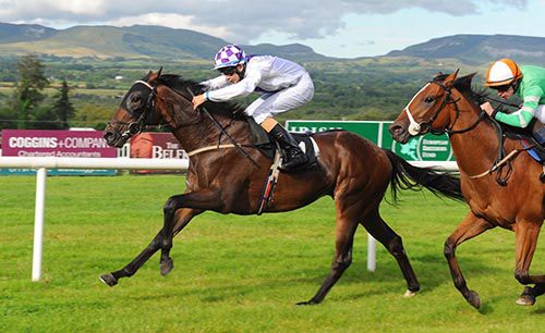 Focussed is driven out by Ronan Whelan to beat Hilltown Gal into second